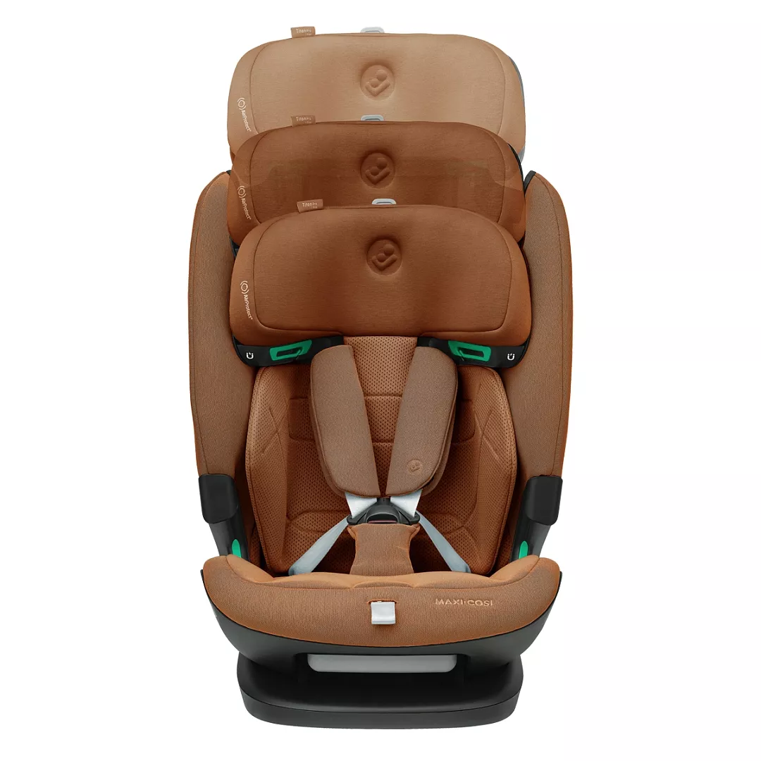 11 положений подголовника